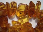300px-Insects_in_baltic_amber.jpg