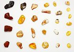 220px-Colours_of_Baltic_Amber.jpg