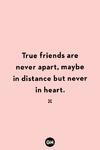 Short-Friendship-Quotes-In-English-2.png