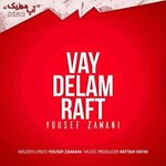 Yousef-Zamani-Vay-Delam-Raft.jpg