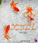 Negar_1716496644675.png