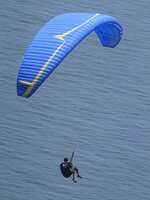 Paragliding_1350361.jpg